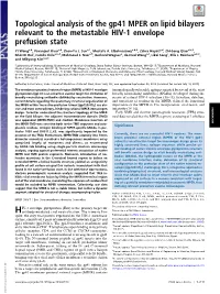 Topological Analysis of the Gp41 MPER on Lipid Bilayers Relevant to the Metastable HIV-1 Envelope Prefusion State