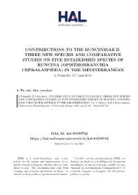 Contributions to the Runcinidae.Ii