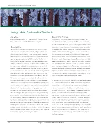 Strategy Habitat: Ponderosa Pine Woodlands