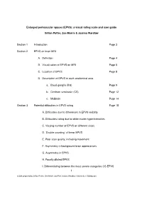 (EPVS): a Visual Rating Scale and User Guide