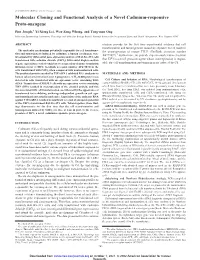 Molecular Cloning and Functional Analysis of a Novel Cadmium-Responsive Proto-Oncogene