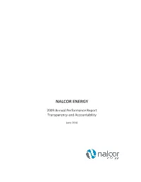 2009 Annual Performance Report Transparency and Accountability