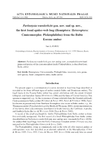 Pavlostysia Wunderlichi Gen. Nov. and Sp. Nov., the First Fossil Spider-Web