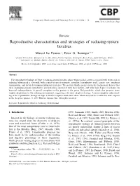Reproductive Characteristics and Strategies of Reducing-System Bivalves