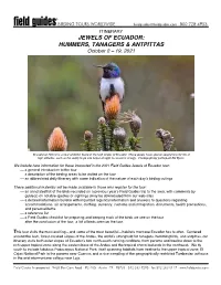 2021 Sample (PDF)