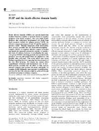 FLIP and the Death Effector Domain Family