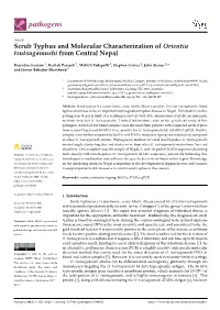 Scrub Typhus and Molecular Characterization of Orientia Tsutsugamushi from Central Nepal
