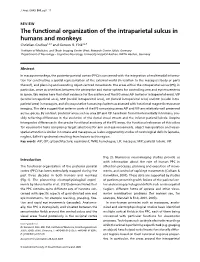 The Functional Organization of the Intraparietal Sulcus in Humans and Monkeys Christian Grefkes1,2,3 and Gereon R