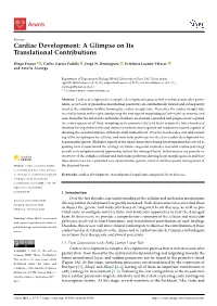 Cardiac Development: a Glimpse on Its Translational Contributions