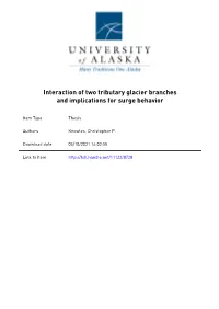 Interaction of Two Tributary Glacier Branches and Implications for Surge Behavior