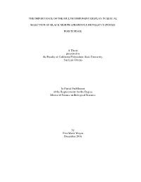 The Importance of the Multicomponent Display in Sexual
