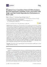 Weighted Gene Correlation Network Meta-Analysis Reveals Functional Candidate Genes Associated with High- and Sub-Fertile Reproductive Performance in Beef Cattle