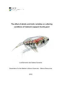 The Effect of Abiotic and Biotic Variables on Culturing Conditions of Calanoid Copepod Acartia Grani