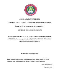Addis Ababa University College of Natural And
