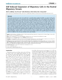 EGF-Induced Expansion of Migratory Cells in the Rostral Migratory Stream