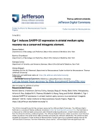 Egr-1 Induces DARPP-32 Expression in Striatal Medium Spiny Neurons Via a Conserved Intragenic Element