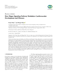 How Hippo Signaling Pathway Modulates Cardiovascular Development and Diseases