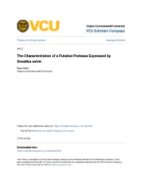 The Characterization of a Putative Protease Expressed by Sneathia Amnii