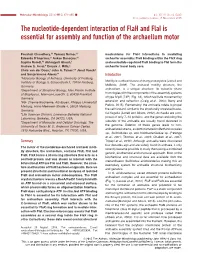 The Nucleotide‐Dependent Interaction of Flah and Flai Is Essential For