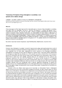 Taxonomy of Colophon Gray (Coleoptera: Lucanidae): New Species and a Status Change