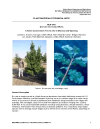 Bur Oak Quercus Macrocarpa Michx. a Native Conservation Tree for Use