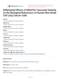 Differential Effects of WRAP53 Transcript Variants on the Biological Behaviours of Human Non-Small Cell Lung Cancer Cells