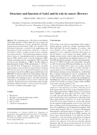 Structure and Function of Gab2 and Its Role in Cancer (Review)