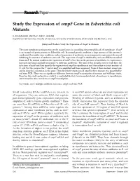 Study the Expression of Ompf Gene in Esherichia Coli Mutants