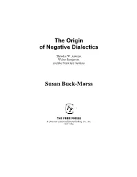 The Origin of Negative Dialectics