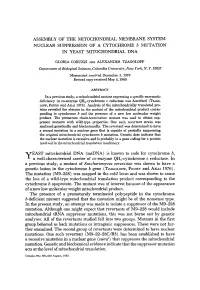 ASSEMBLY of the MITOCHONDRIAL MEMBRANE SYSTEM: NUCLEAR SUPPRESSION of a CYTOCHROME B MUTATION in YEAST MITOCHONDRIAL DNA