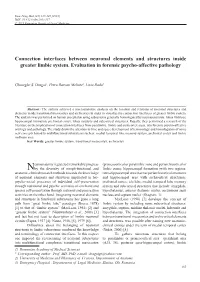Connection Interfaces Between Neuronal Elements and Structures Inside Greater Limbic System