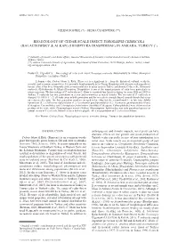 Download This PDF File