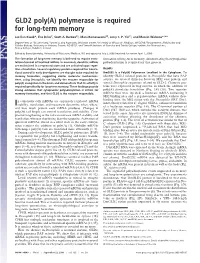 GLD2 Poly(A) Polymerase Is Required for Long-Term Memory