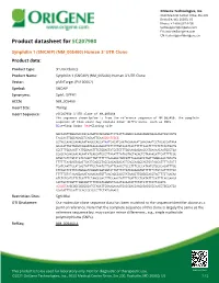 (SNCAIP) (NM 005460) Human 3' UTR Clone Product Data