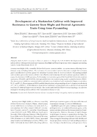 Development of a Muskmelon Cultivar with Improved Resistance to Gummy Stem Blight and Desired Agronomic Traits Using Gene Pyramiding