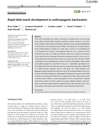 Rapid Tidal Marsh Development in Anthropogenic Backwaters