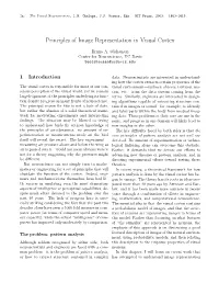 Principles of Image Representation in Visual Cortex