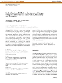 Epitypification of Tilletia Ehrhartae, a Smut Fungus with Potential For