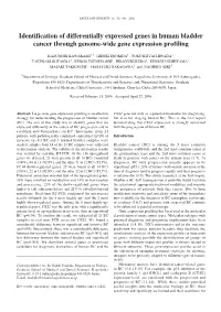 Identification of Differentially Expressed Genes in Human Bladder Cancer Through Genome-Wide Gene Expression Profiling