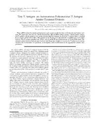 An Autonomous Polyomavirus T Antigen Amino-Terminal Domain