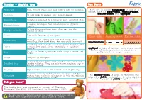 KO DT Y5 Textiles