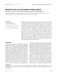 Metabolic Fate of Nicotinamide in Higher Plants