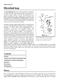 Microbial Loop