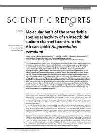 Molecular Basis of the Remarkable Species Selectivity of An