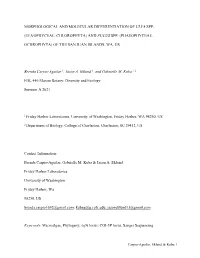 Morphological and Molecular Differentiation of Ulva Spp