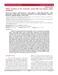 MXD1 Localizes in the Nucleolus, Binds UBF and Impairs Rrna Synthesis