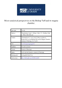 New Perspectives on the Bishop Tuff Magma Chamber from Micro