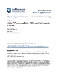 Initiator Trna Genes Template the 3' CCA End at High Frequencies in Bacteria