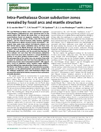 Intra-Panthalassa Ocean Subduction Zones Revealed by Fossil Arcs and Mantle Structure D
