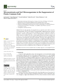 Micronutrients and Soil Microorganisms in the Suppression of Potato Common Scab
